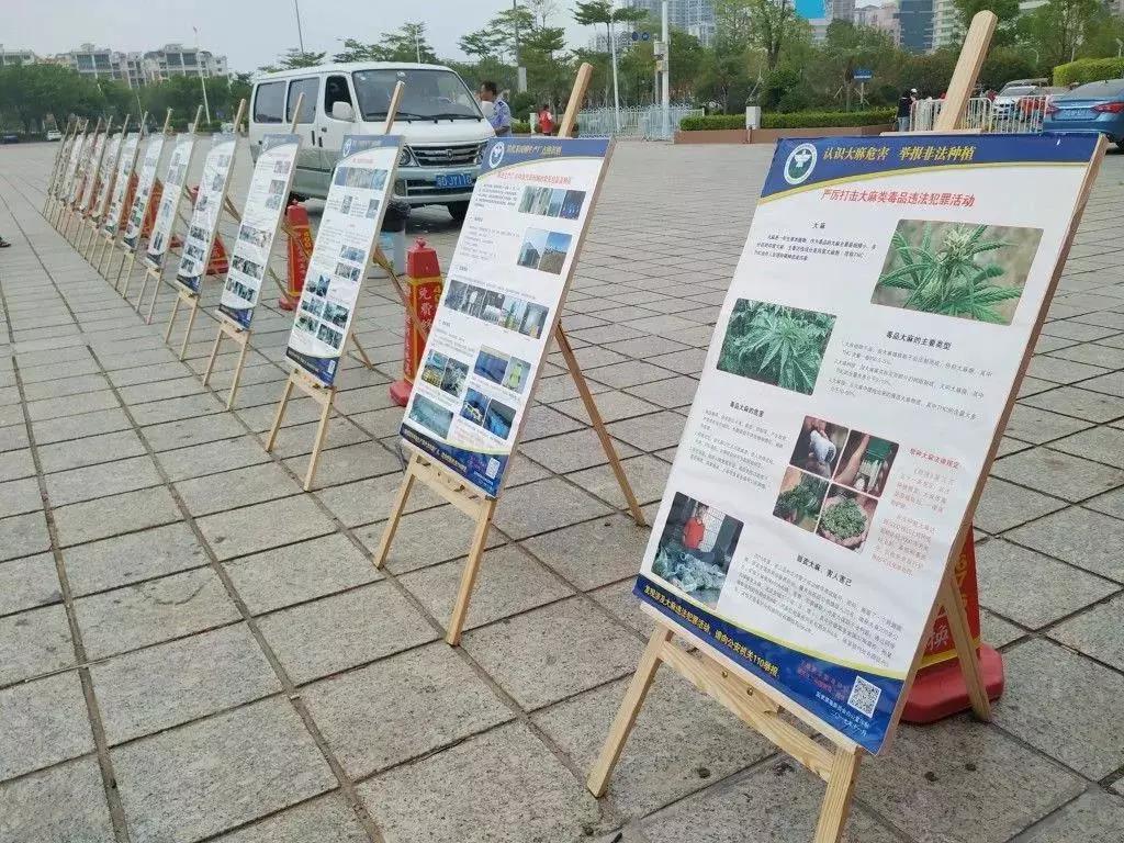 1598515975882664.jpg 5.jpg